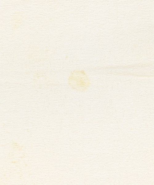 Christian Dior ผ้าพันคอ