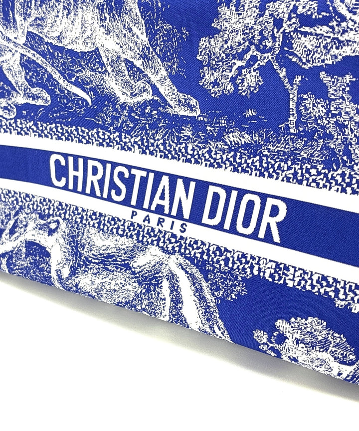 Christian Dior กระเป๋า
