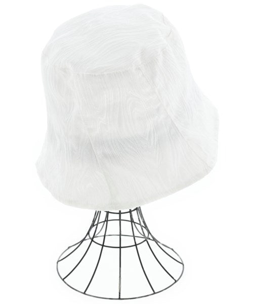 Ray Beams หมวก