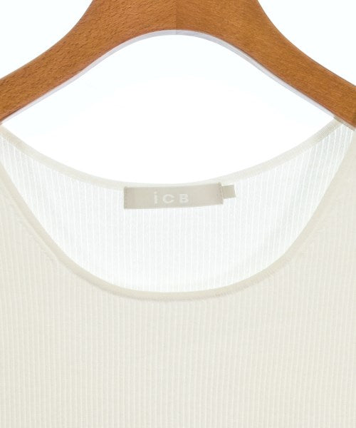 I C B แขนกุด