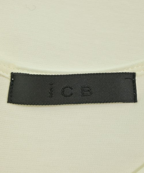 I C B แขนกุด