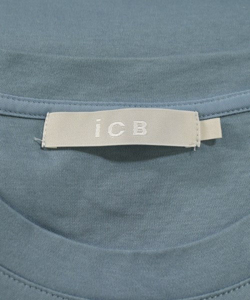 I C B แขนกุด