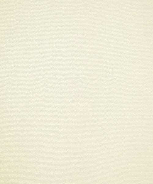 FRAMeWORK กระโปรงยาว/แม็กซี่ยาว