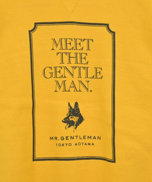 Mr.GENTLEMAN เสื้อสเวตเตอร์