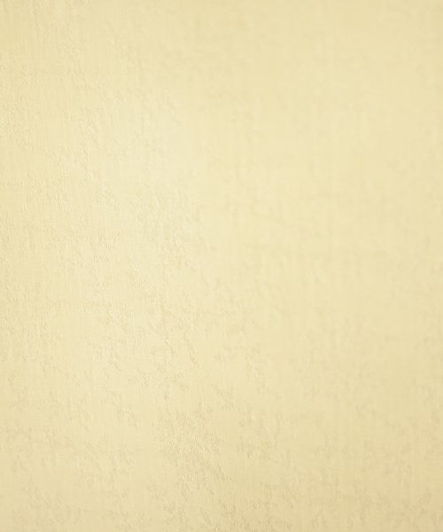 Lily Brown เสื้อสตรี