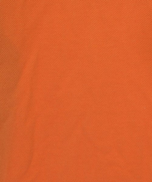 Polo Ralph Lauren เสื้อโปโล