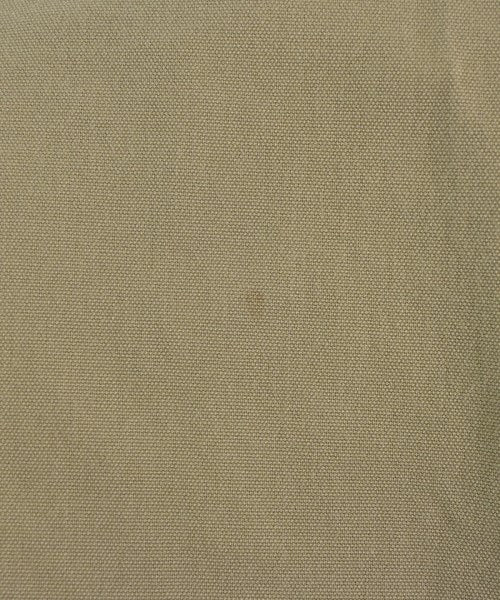 THE SHINZONE ชิโน่