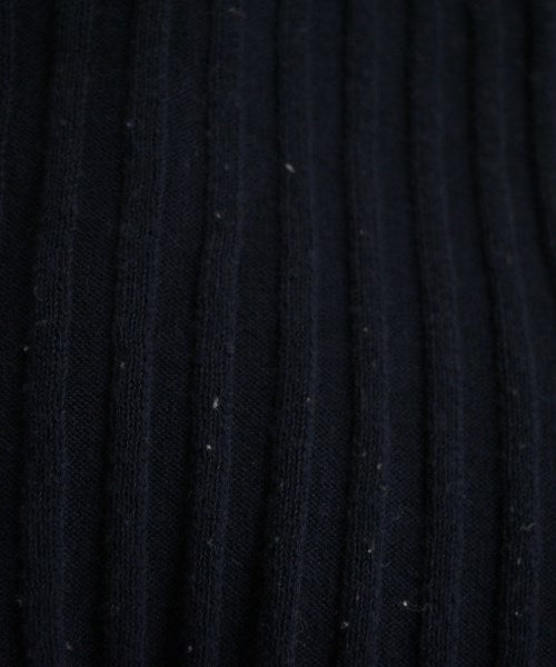 THE SHINZONE แฝด