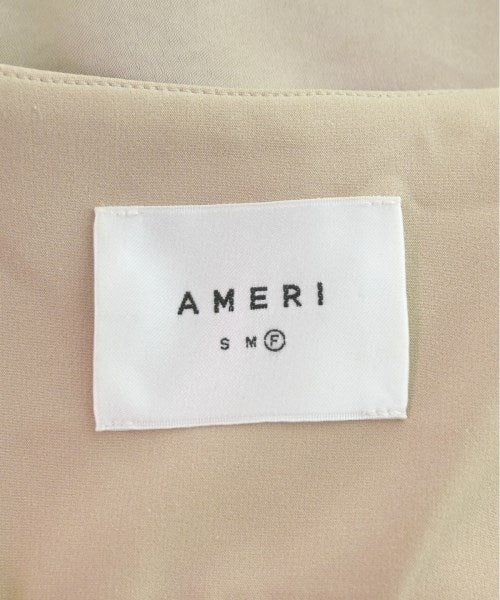 AMERI อื่น