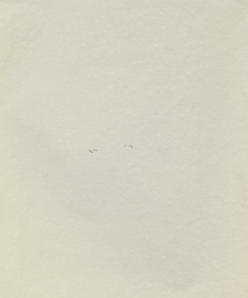 JUNYA WATANABE MAN แจ็คเก็ตเบลาส์