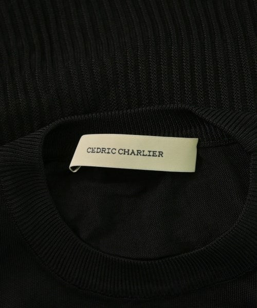 CEDRIC CHARLIER ชุดเดรส