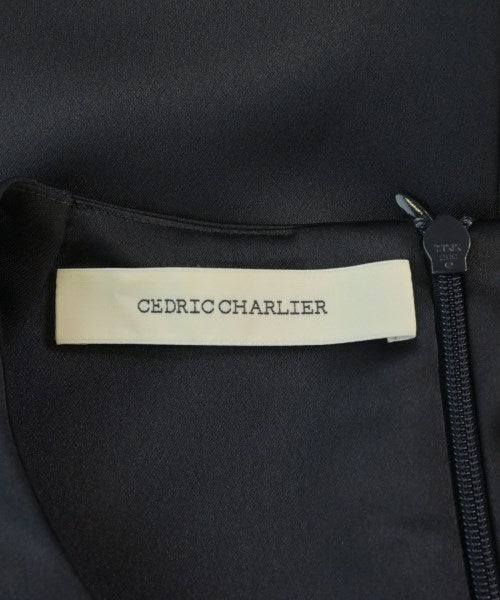 CEDRIC CHARLIER ชุดเดรส