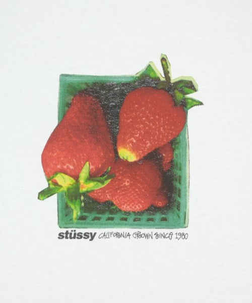 STUSSY เสื้อยืด/เสื้อท็อปส์