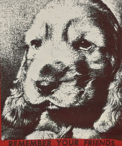 Supreme เสื้อยืด/เสื้อท็อปส์