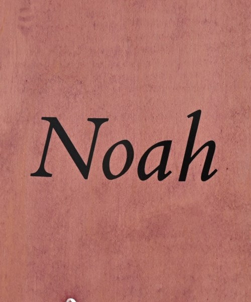 Noah อื่นๆ