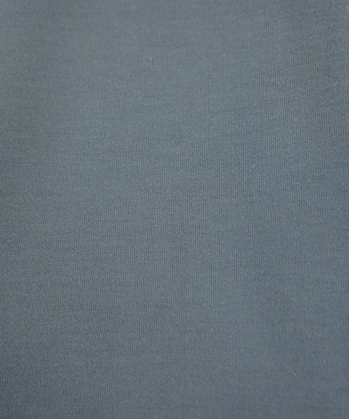 THE NORTH FACE เสื้อยืด/เสื้อท็อปส์