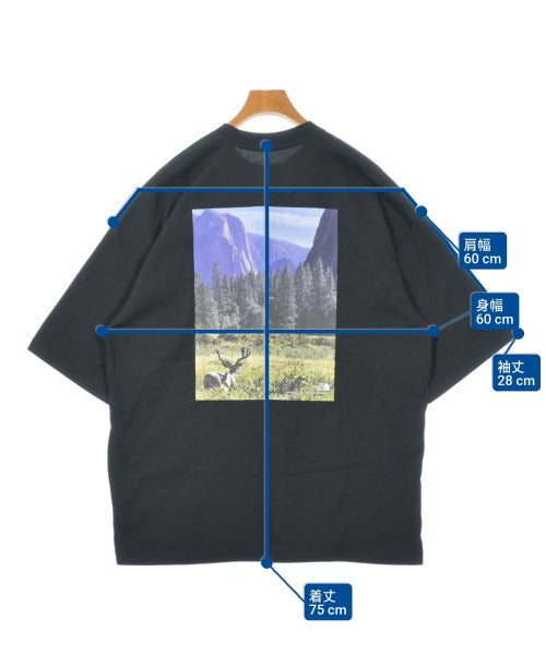 THE NORTH FACE เสื้อยืด/เสื้อท็อปส์