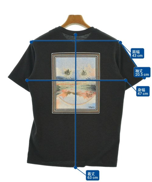 patagonia เสื้อยืด/เสื้อท็อปส์