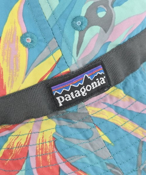 patagonia หมวก