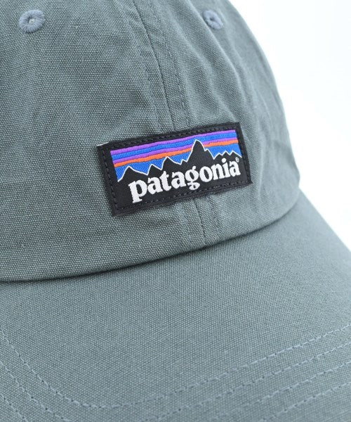 patagonia หมวกแก๊ป