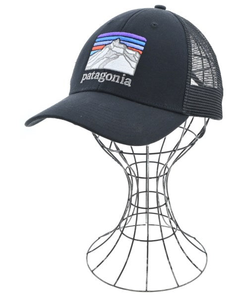 patagonia หมวกแก๊ป