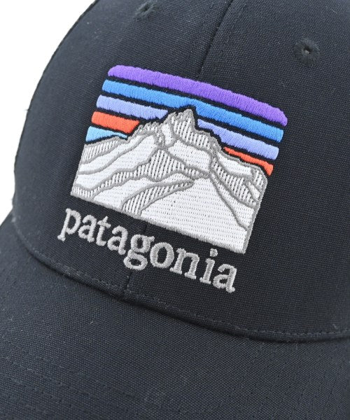 patagonia หมวกแก๊ป