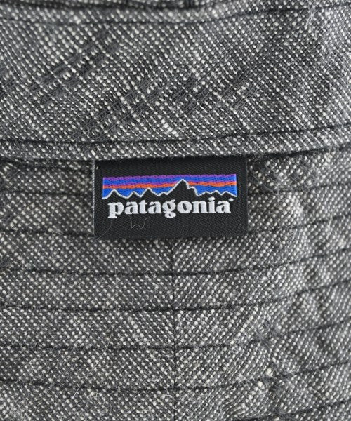 patagonia หมวก