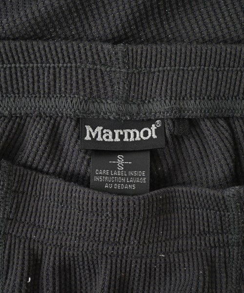 Marmot อื่นๆ