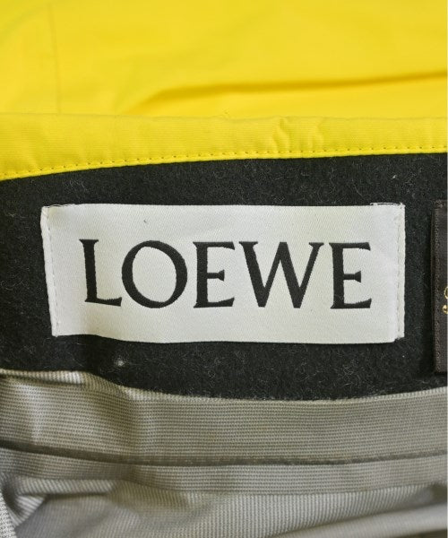LOEWE เสื้อพาร์กาภูเขา