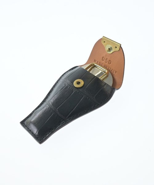 Felisi อื่นๆ