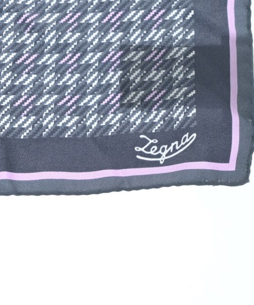 Ermenegildo Zegna อื่นๆ