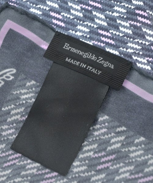 Ermenegildo Zegna อื่นๆ