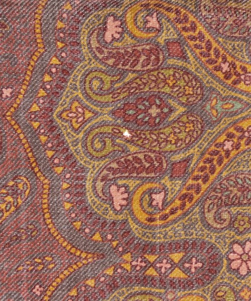 ETRO ผ้าพันคอ