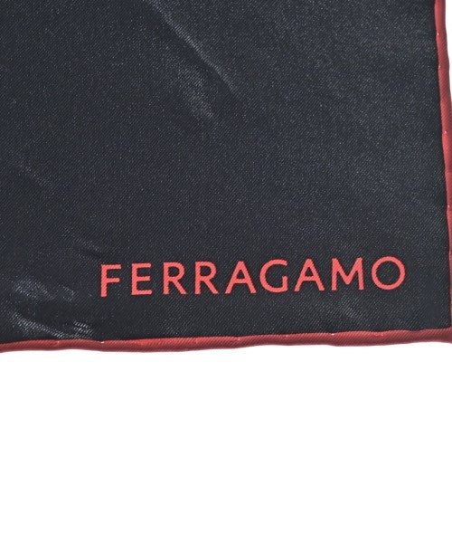 Salvatore Ferragamo ผ้าพันคอ