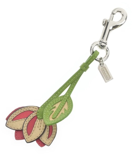 COACH เครื่องประดับบนกระเป๋า