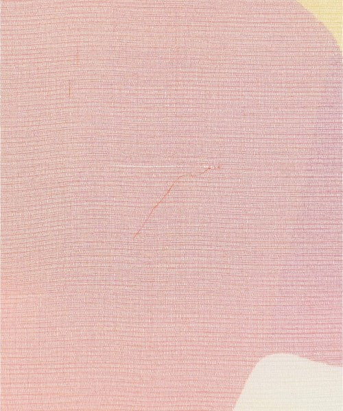 FENDI ผ้าพันคอ