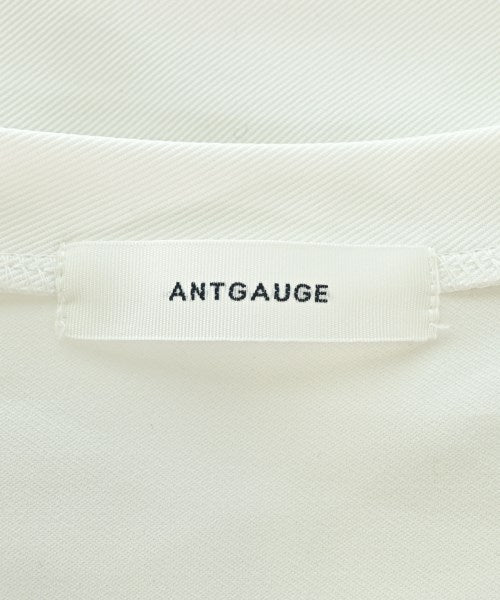 antgauge แขนกุด