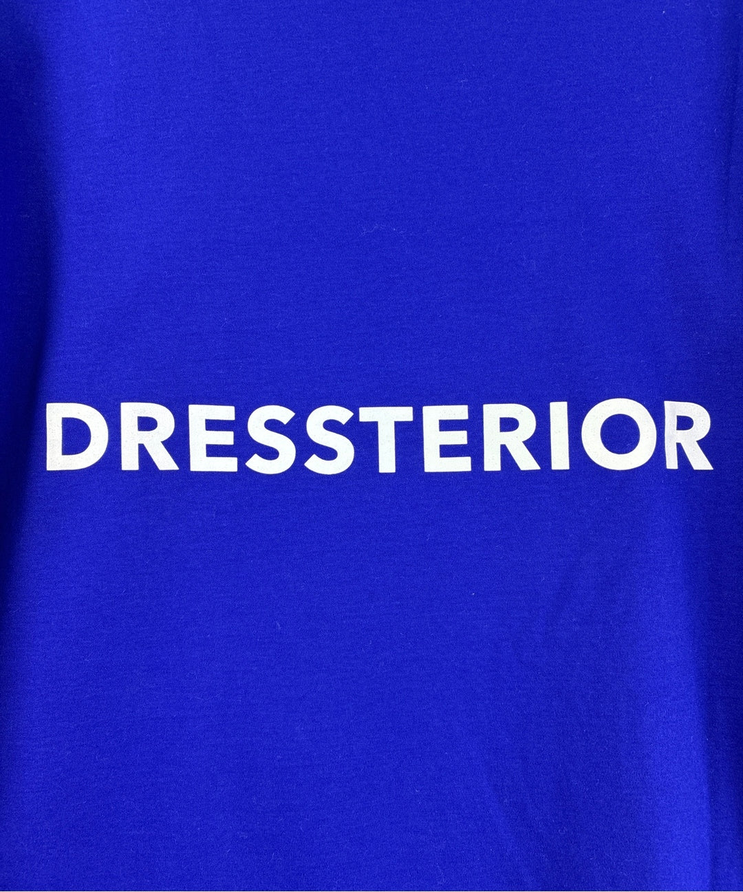 DRESSTERIOR เสื้อยืด/เสื้อท็อปส์