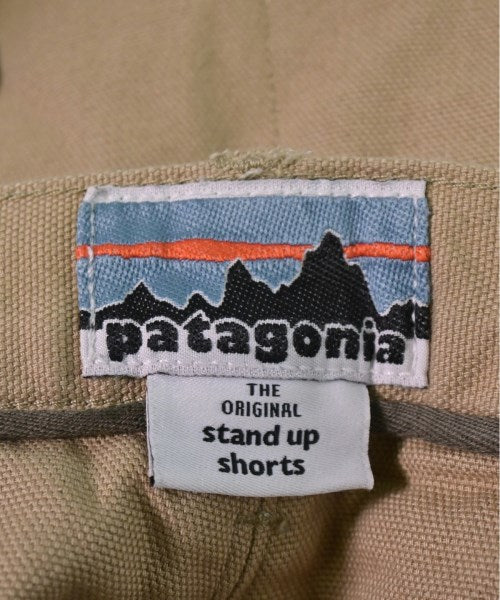 patagonia Shorts
