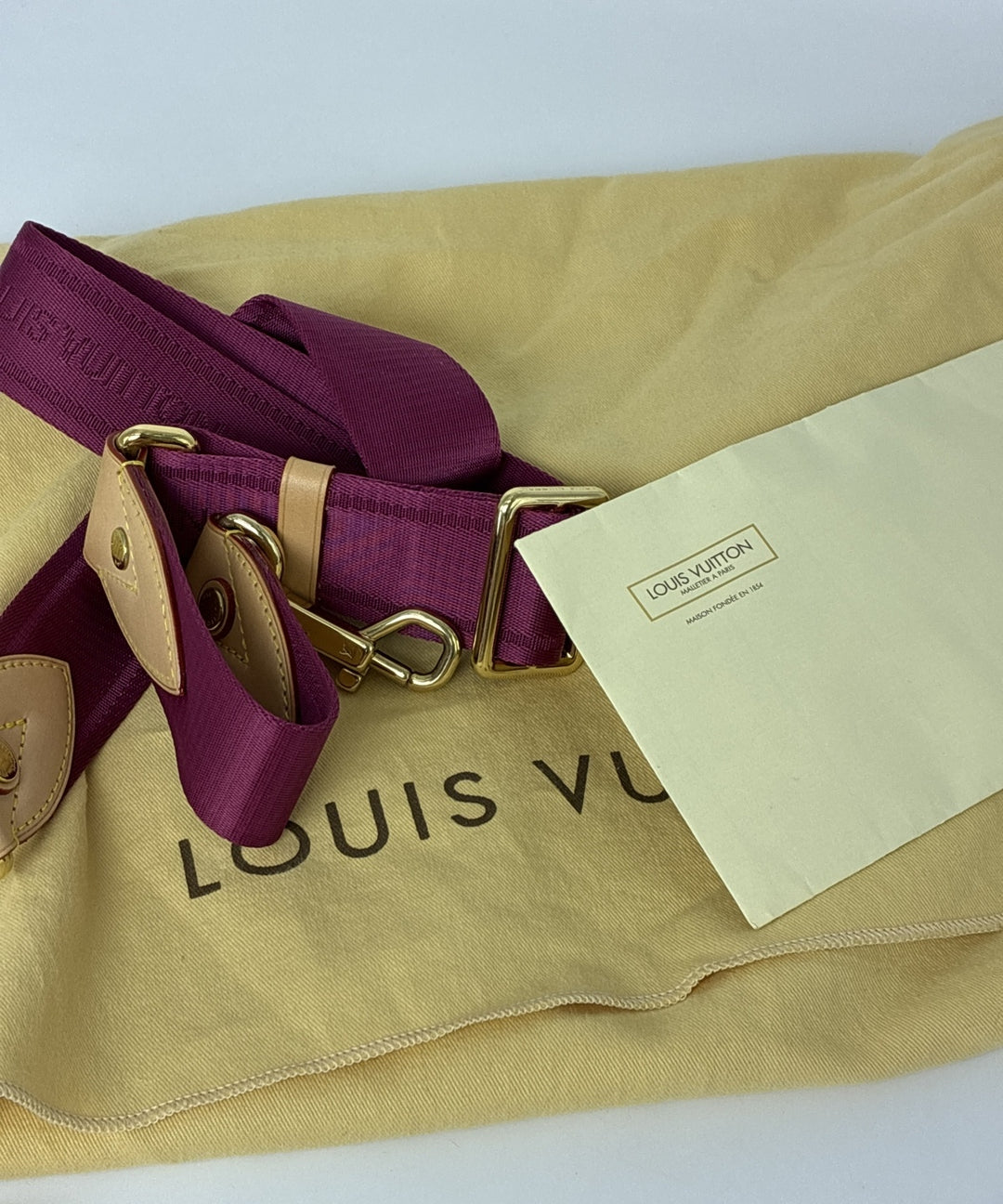 LOUIS VUITTON กระเป๋าสะพาย