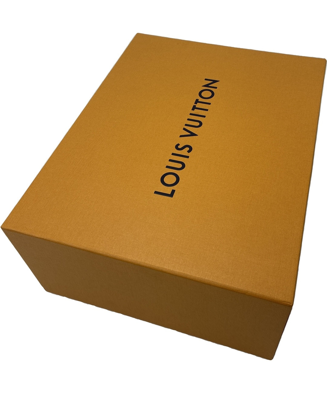 LOUIS VUITTON กระเป๋าถือ