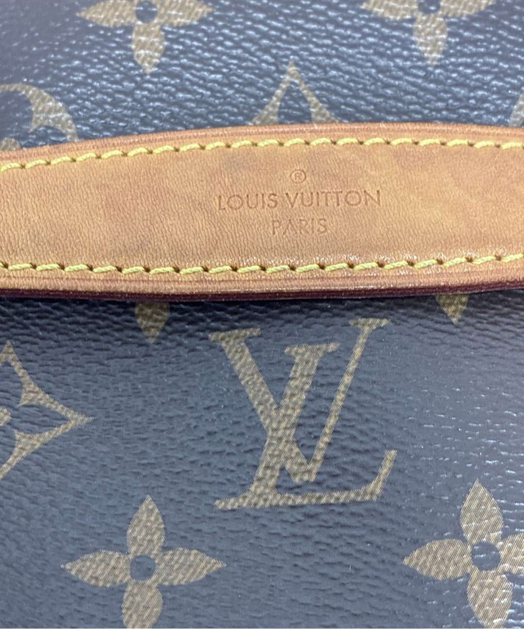 LOUIS VUITTON กระเป๋าสะพาย