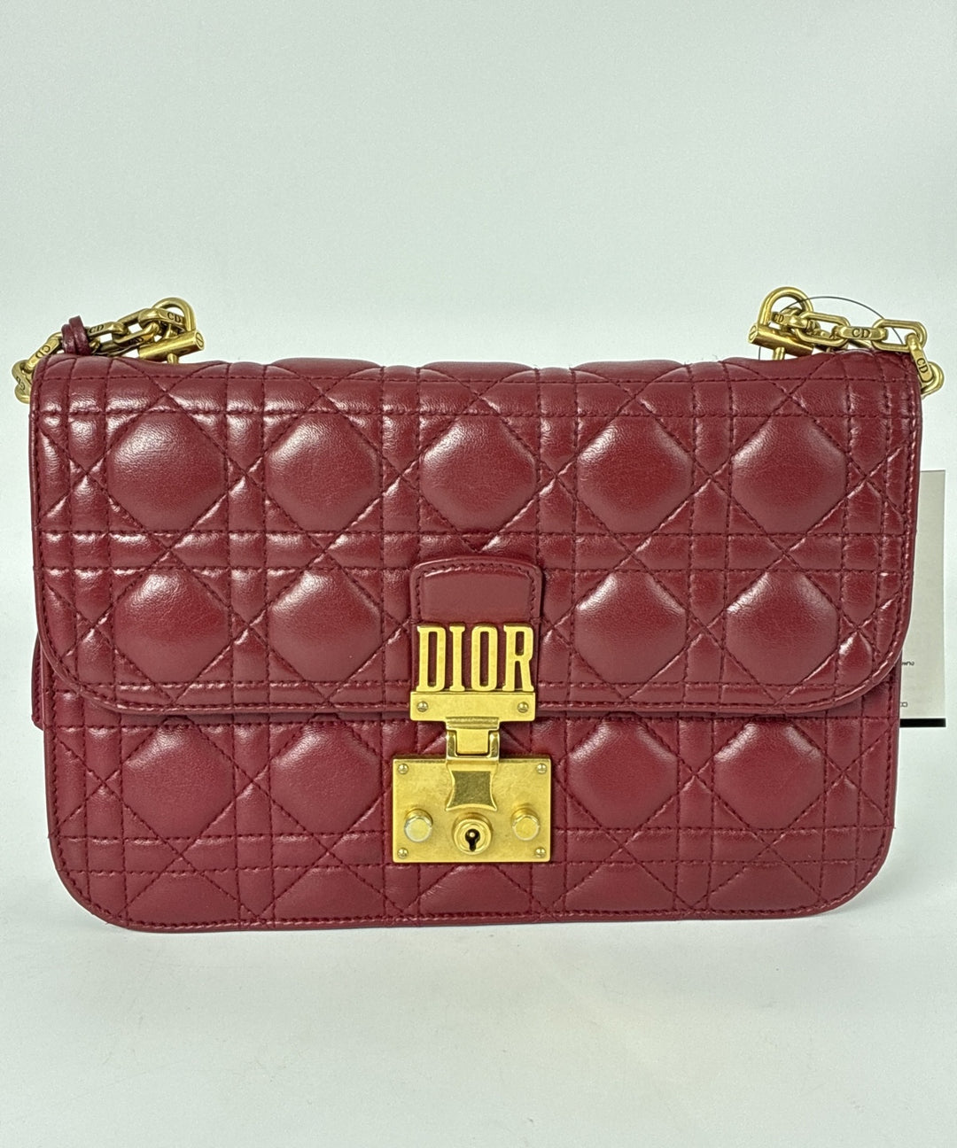 Christian Dior กระเป๋าสะพาย