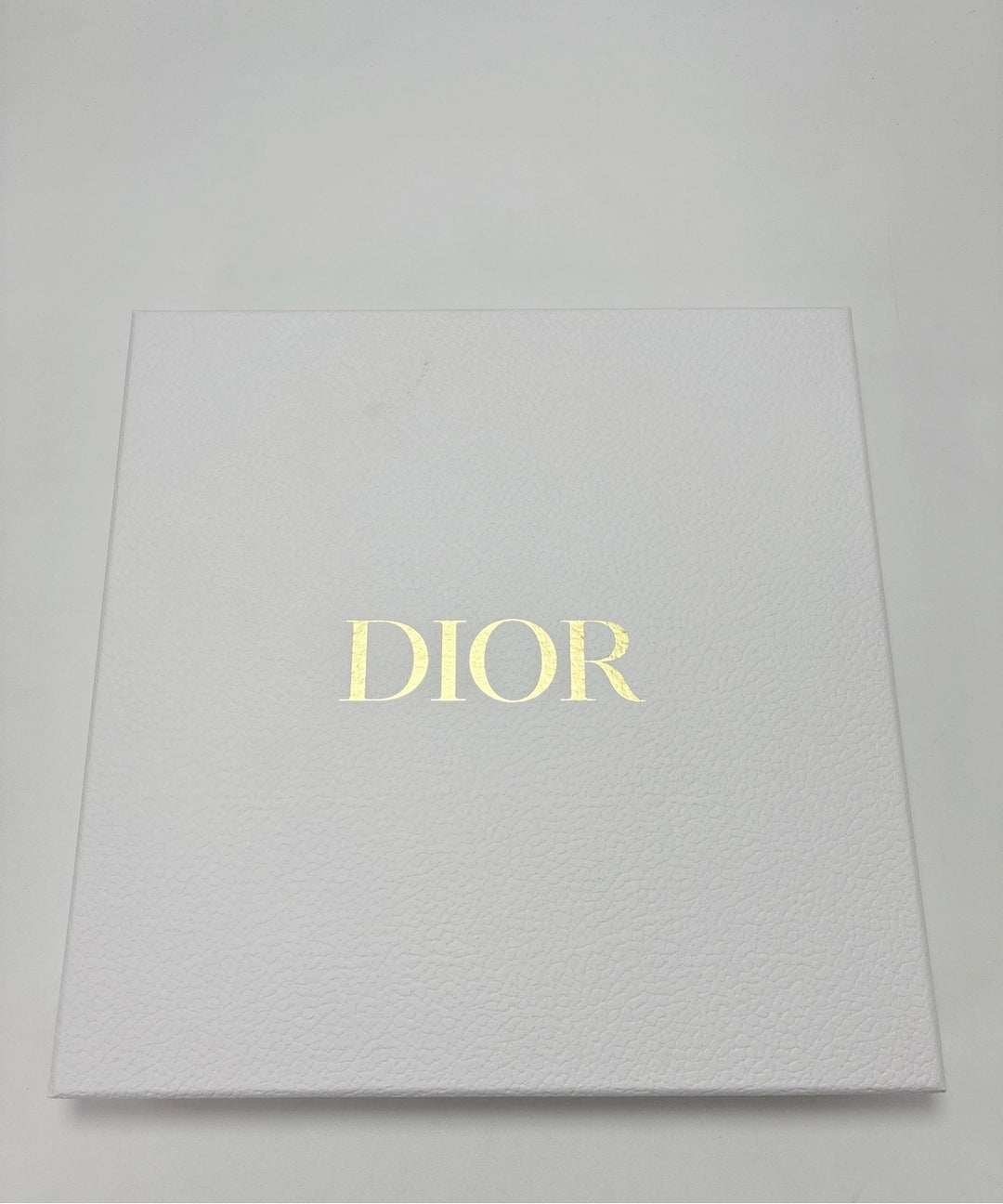 Christian Dior กระเป๋า