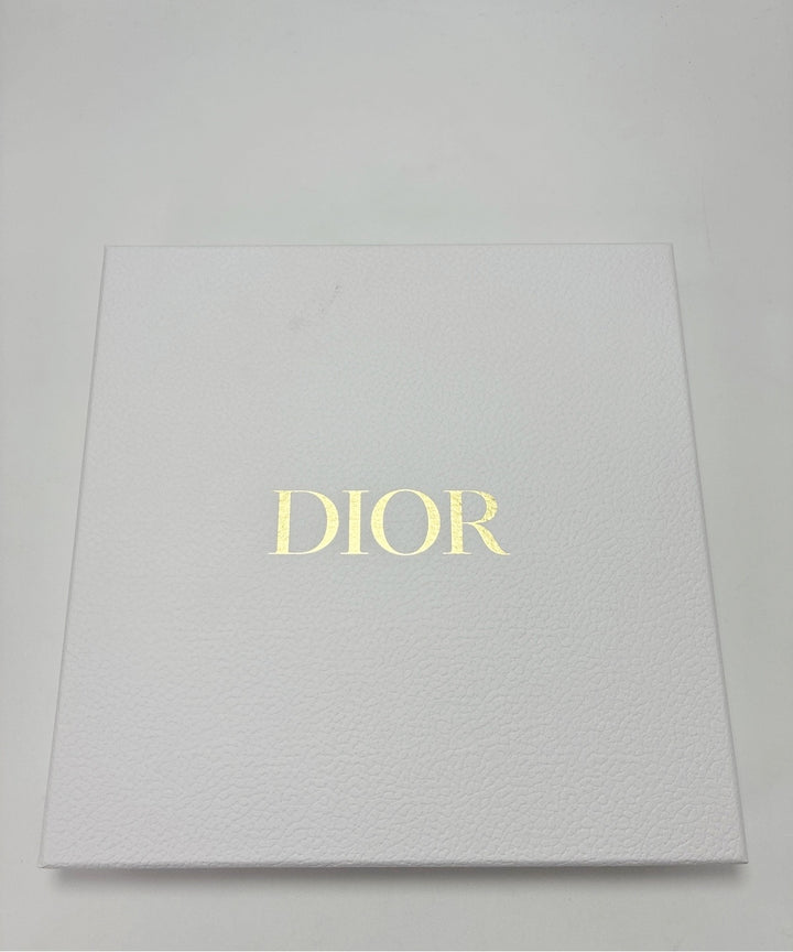 Christian Dior กระเป๋า