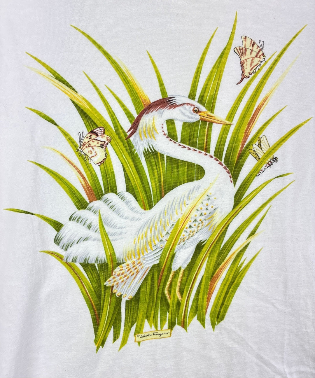 Salvatore Ferragamo เสื้อยืด/เสื้อท็อปส์