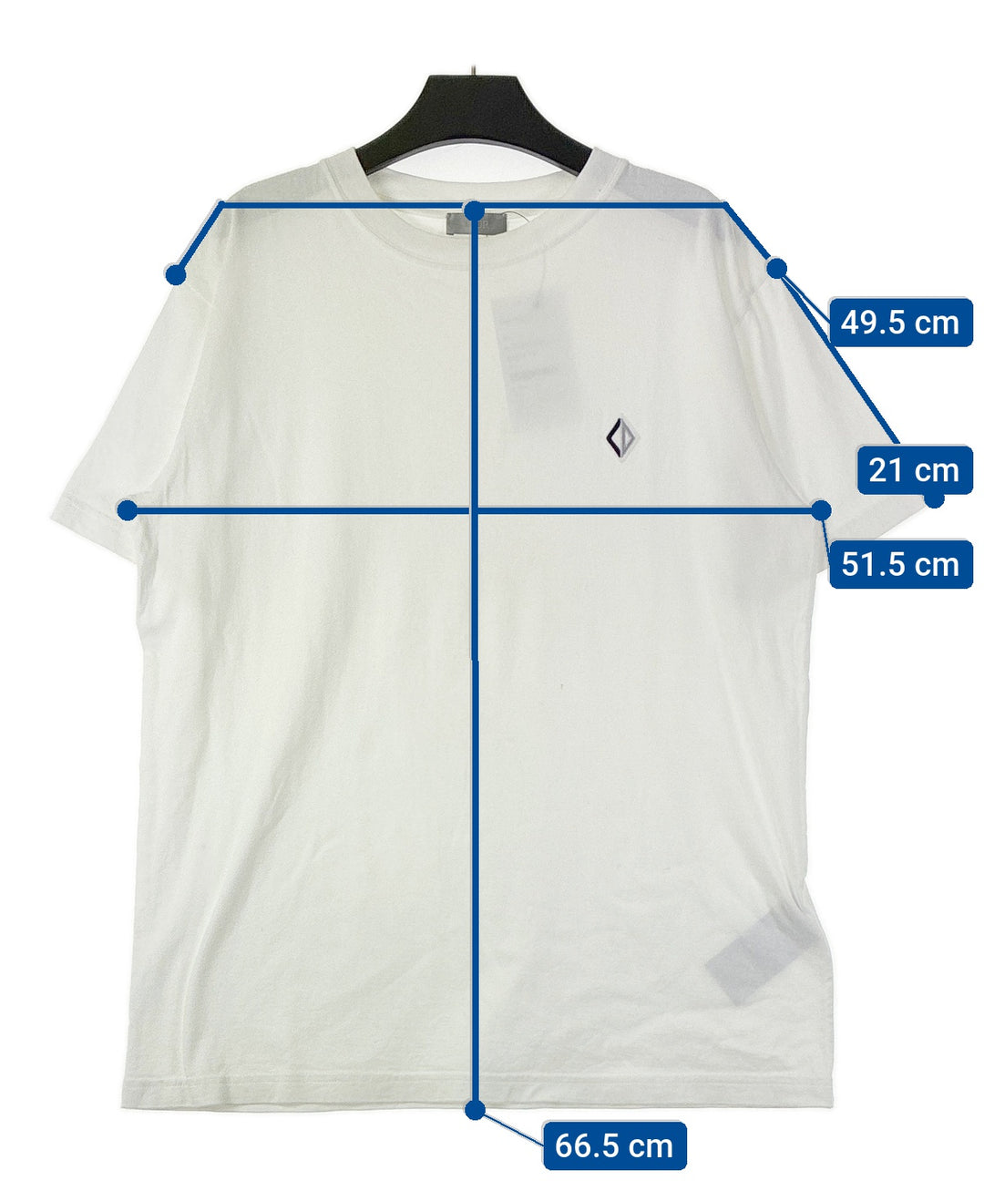 Dior Homme เสื้อยืด/เสื้อท็อปส์