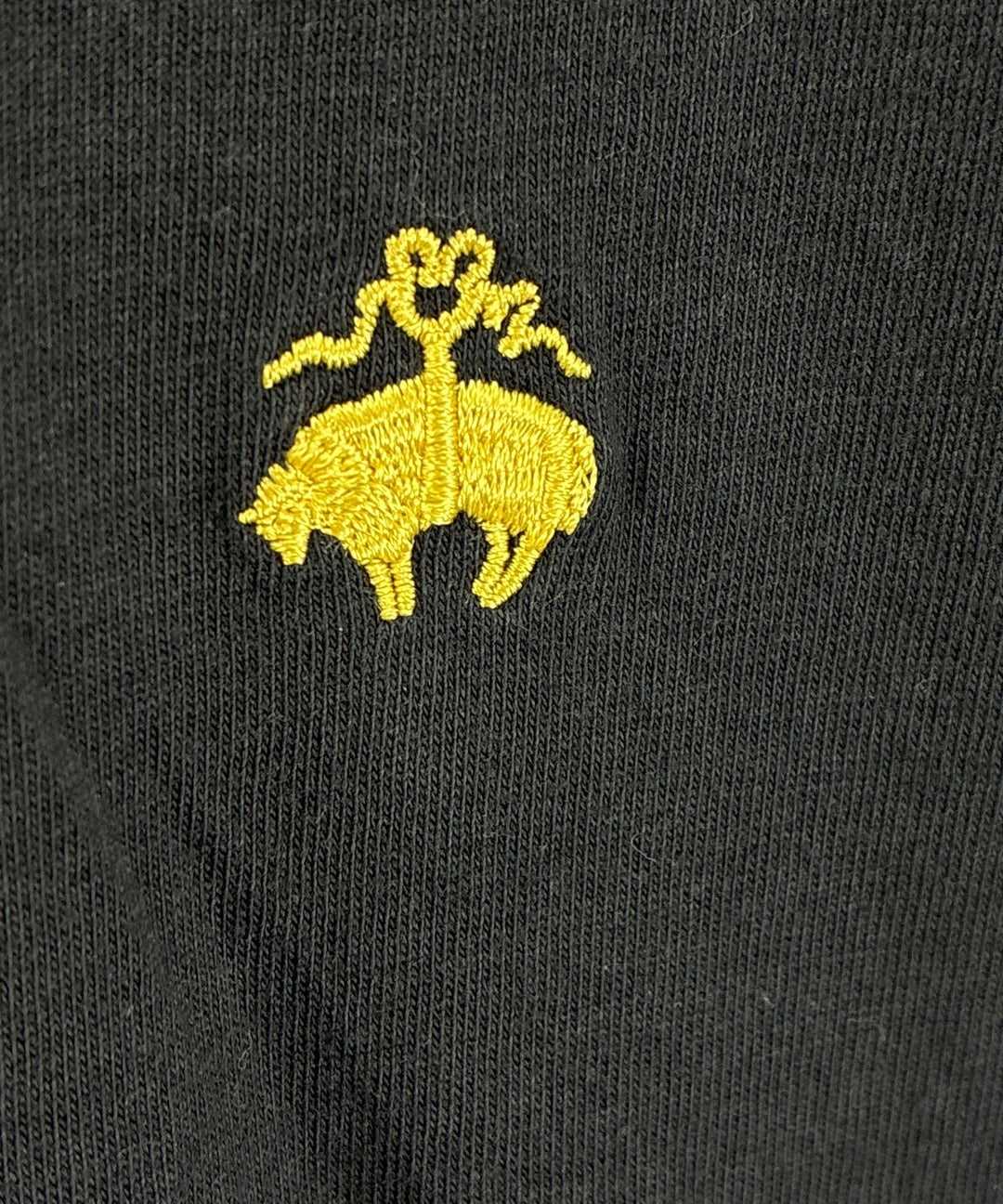 Brooks Brothers เสื้อยืด/เสื้อท็อปส์