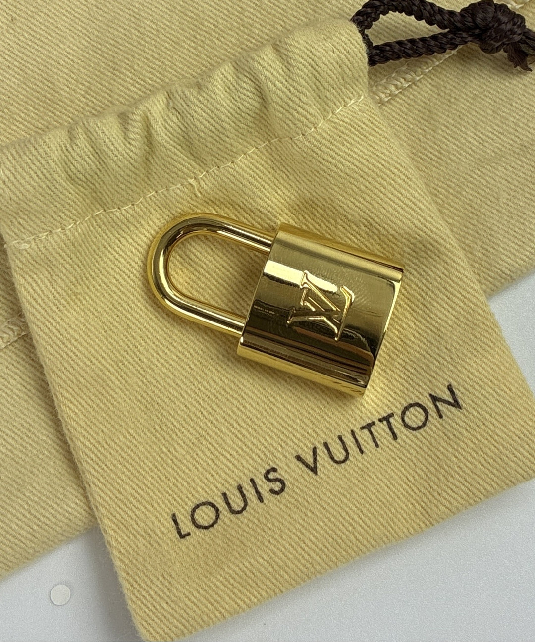LOUIS VUITTON กระเป๋าถือ