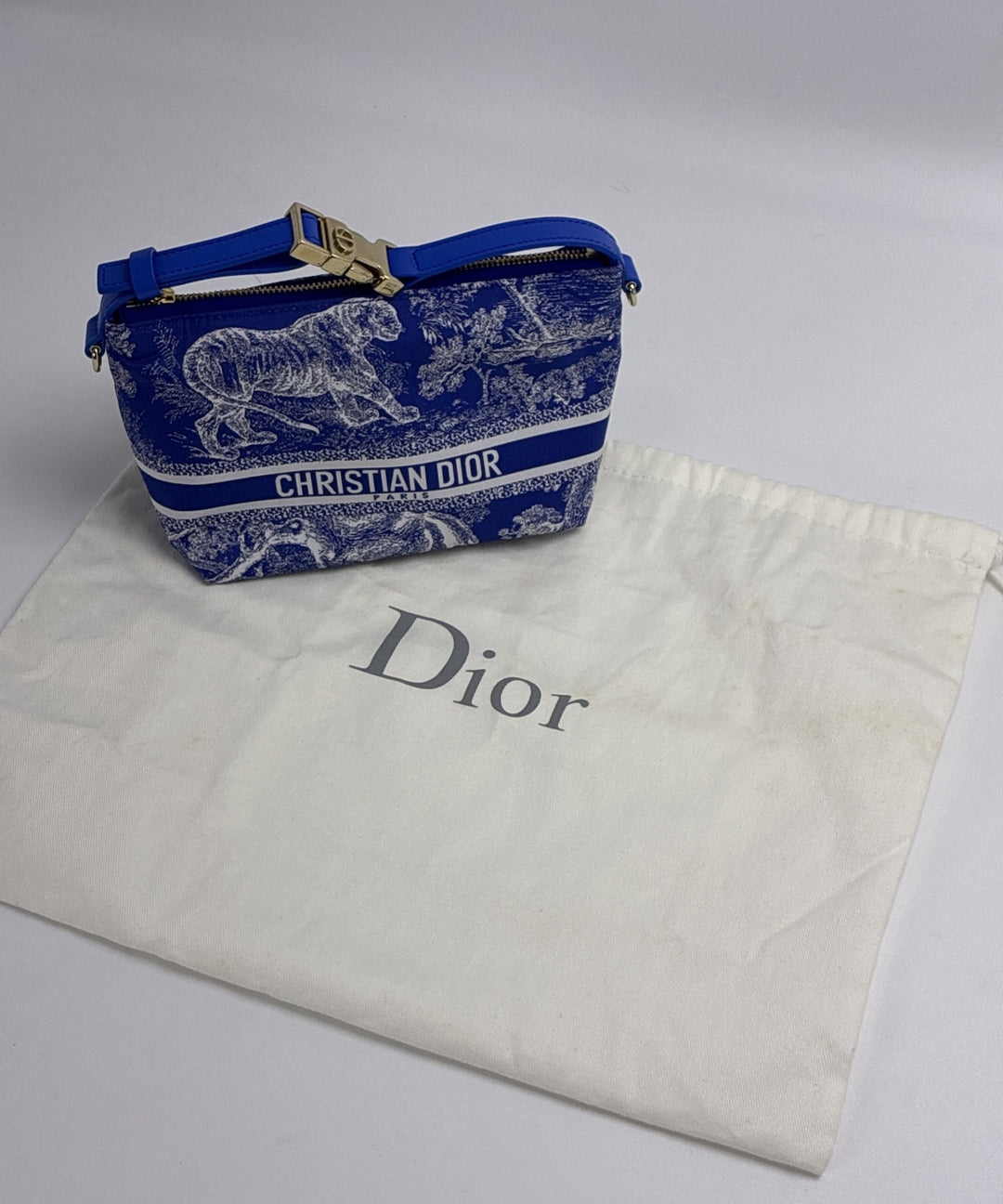 Christian Dior กระเป๋า